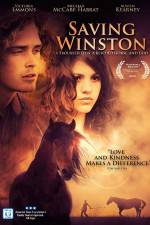 Watch Saving Winston Moviesjoy
