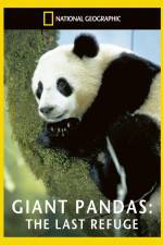 Watch National Geographic Giant Pandas The Last Refuge Moviesjoy