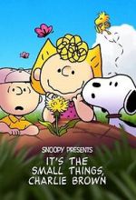 Watch Snoopy Presents: It's the Small Things, Charlie Brown (TV Special 2022) Moviesjoy