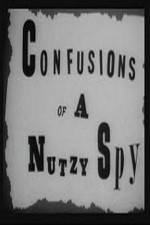 Watch Confusions of a Nutzy Spy Moviesjoy