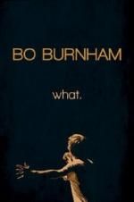 Watch Bo Burnham: what. Moviesjoy