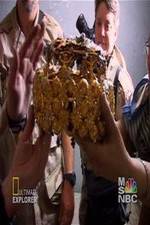 Watch Iraq's Lost Treasure Moviesjoy