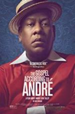 Watch The Gospel According to André Moviesjoy