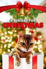 Watch A Bengal for Christmas Moviesjoy