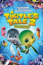 Watch A Turtle\'s Tale 2: Sammy\'s Escape from Paradise Moviesjoy