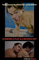 Watch A Shrink A Flat & A Broken Key Moviesjoy