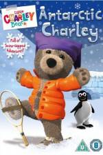 Watch Little Charley Bear - Antarctic Charley Moviesjoy