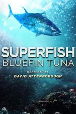 Watch Superfish Bluefin Tuna Moviesjoy
