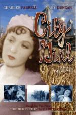 Watch Die Frau aus Chicago Moviesjoy