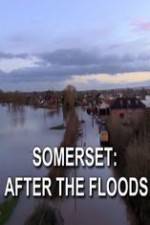 Watch Somerset: After the Floods Moviesjoy