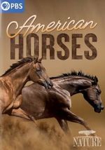 Watch American Horses Moviesjoy