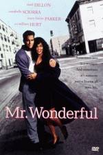 Watch Mr Wonderful Moviesjoy