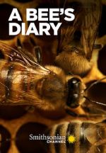 Watch A Bee\'s Diary (TV Special 2022) Moviesjoy
