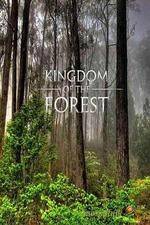 Watch National Geographic Kingdom of the Forest Moviesjoy