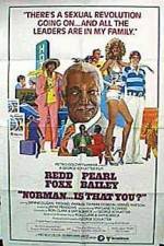 Watch Norman Is That You Moviesjoy
