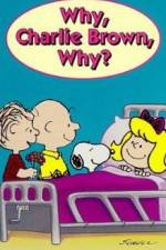 Watch Why Charlie Brown Why Moviesjoy