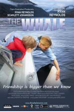 Watch The Whale Moviesjoy