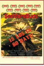 Watch SeeMoreBuds: Vol. 1 Moviesjoy