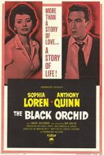 Watch The Black Orchid Moviesjoy
