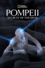Watch Pompeii: Secrets of the Dead (TV Special 2019) Moviesjoy