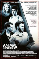 Watch Animal Kingdom Moviesjoy