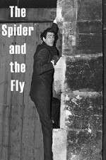 Watch The Spider and the Fly Moviesjoy