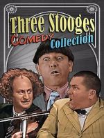 Watch Three Stooges Comedy Collection Moviesjoy