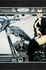 Watch Run Angel Run Moviesjoy