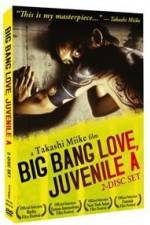 Watch Big Bang Love Juvenile A Moviesjoy