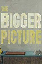 Watch The Bigger Picture Moviesjoy