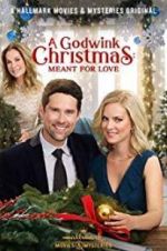 Watch A Godwink Christmas: Meant for Love Moviesjoy