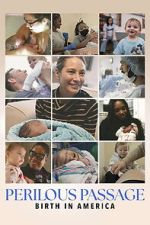 Watch Perilous Passage: Birth in America Moviesjoy