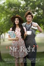 Watch Mr. Right Moviesjoy