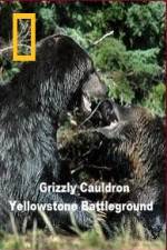 Watch National Geographic Grizzly Cauldron Moviesjoy