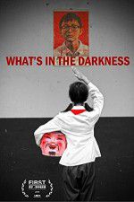 Watch What\'s in the Darkness Moviesjoy