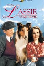 Watch Lassie Come Home Moviesjoy