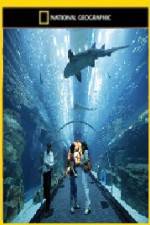 Watch National Geographic Megastructures Dubai Mega Mall Moviesjoy