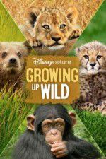 Watch Growing Up Wild Moviesjoy
