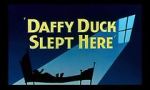 Watch Daffy Duck Slept Here (Short 1948) Moviesjoy