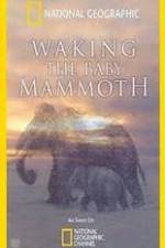 Watch Waking the Baby Mammoth Moviesjoy