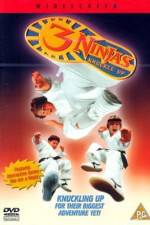 Watch 3 Ninjas Knuckle Up Moviesjoy
