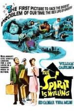 Watch The Spirit Is Willing Moviesjoy