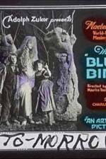 Watch The Blue Bird Moviesjoy