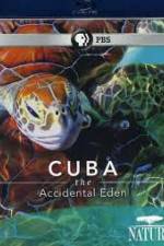 Watch Cuba: The Accidental Eden Moviesjoy