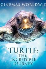 Watch Turtle The Incredible Journey Moviesjoy