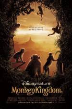 Watch Monkey Kingdom Moviesjoy