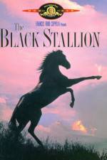 Watch The Black Stallion Moviesjoy