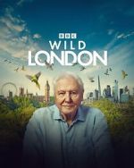 Watch Wild London (TV Special 2026) Moviesjoy