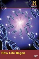 Watch How Life Began Moviesjoy