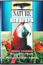 Watch PBS Nature - Extraordinary Birds Moviesjoy